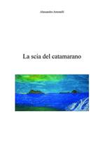 La scia del catamarano