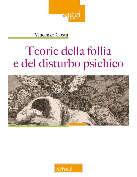 Teorie della follia e del disturbo psichico - Vincenzo Costa - copertina