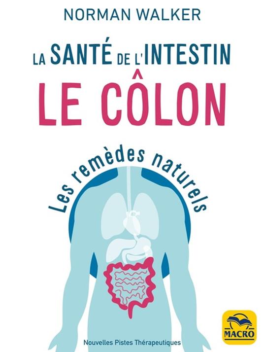 Santé de l'intestin - le côlon