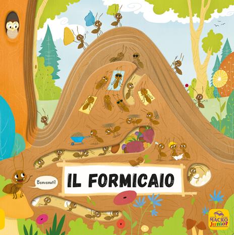 Il formicaio. Ediz. a colori - Petra Bartikovà,Magdalena Takácová - copertina
