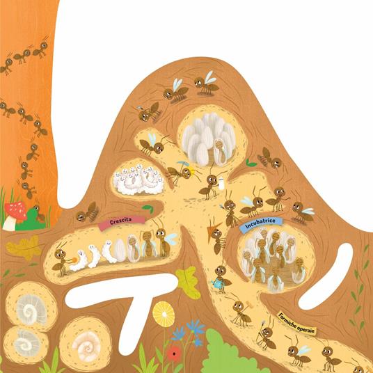 Il formicaio. Ediz. a colori - Petra Bartikovà,Magdalena Takácová - 2