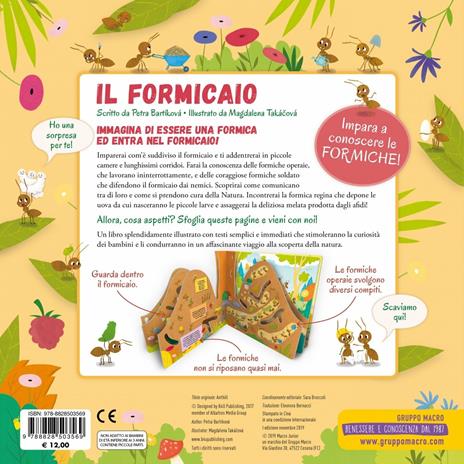 Il formicaio. Ediz. a colori - Petra Bartikovà,Magdalena Takácová - 3