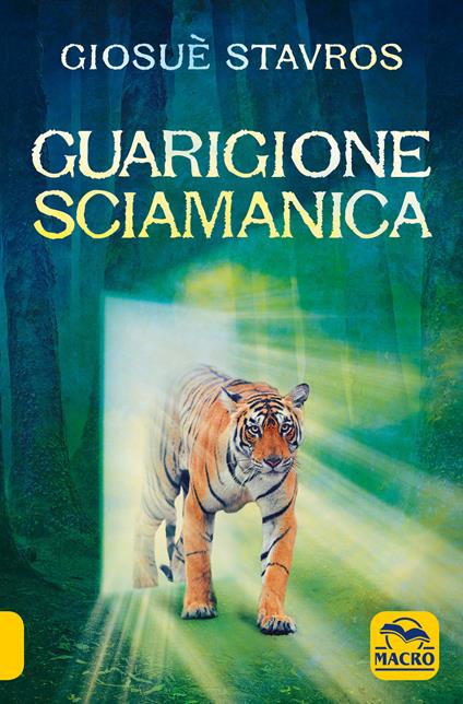 Guarigione sciamanica - Giosuè Stavros - copertina