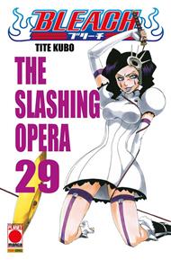 Bleach. Vol. 29: Bleach