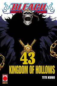 Bleach. Vol. 43: Bleach