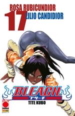 Bleach. Vol. 17: Bleach