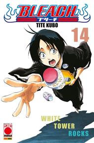 Bleach. Vol. 14: Bleach