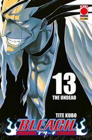 Bleach. Vol. 13: Bleach