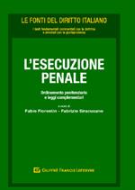 L' esecuzione penale. Ordinamento penitenziario e leggi complementari