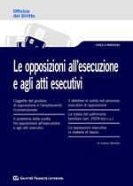 Le opposizioni all'esecuzione e agli atti esecutivi