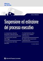 Sospensione ed estinzione del processo esecutivo