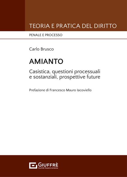 Amainto. Casistica, questioni processuali e sostanziali, prospettive future - Carlo Brusco - copertina