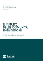 Il futuro delle comunità energetiche