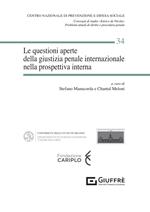 Le questioni aperte della giustizia penale internazionale nella prospettiva interna