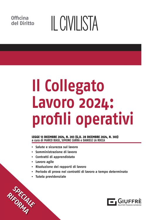 Il collegato lavoro 2024: profili operativi - copertina