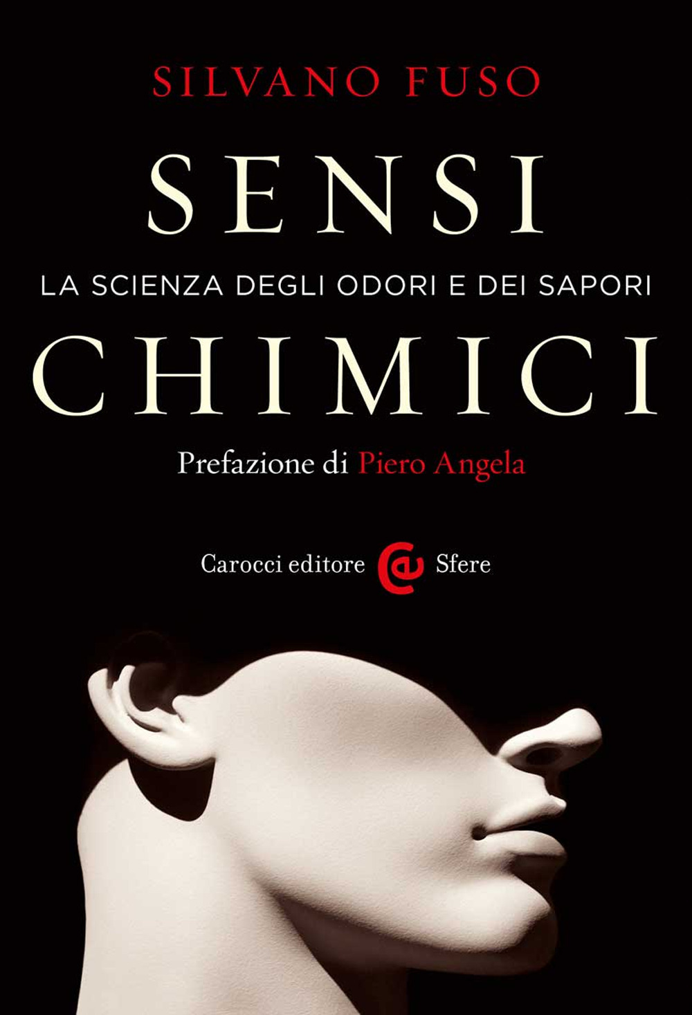 Libreria Postumia