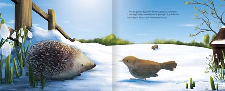 L' inverno dell'uccellino. Ediz. a colori - Kate Banks - 4