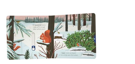 Esploriamo la natura. Neve. Ediz. a colori - 2