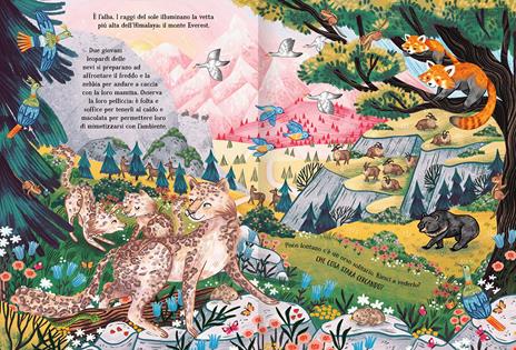 La montagna segreta. Ediz. a colori - Kaja Kajfez - 2