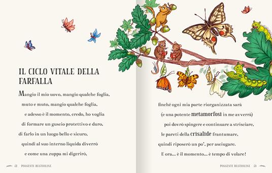 La magia del bosco. Ediz. a colori - Rachel Piercey - 4
