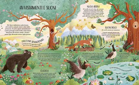 Il bosco selvaggio. Alla scoperta delle stagioni. Ediz. a colori - Sally Morgan - 2