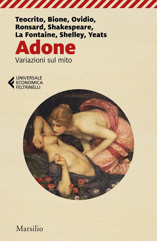 Adone. Variazioni sul mito - copertina
