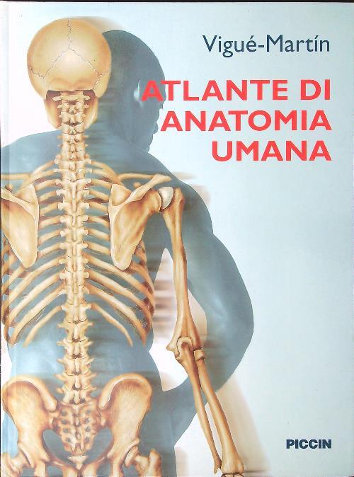 LIBRACCIO VINTAGE