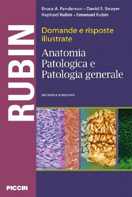 Domande e risposte illustrate. Anatomia patologica e patologia generale - Bruce A. Fenderson,David S. Strayer,Raphael Rubin - copertina