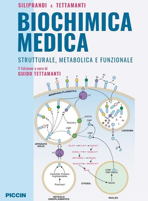 Biochimica medica strutturale metabolica e funzionale - Noris Siliprandi,Guido Tettamanti - copertina