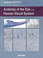 Anatomy of the eye and human visual system