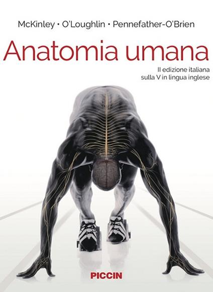 Anatomia umana - Michael Mckinley,Valerie Dean O'Loughlin,Elizabeth E. Pennefather-O'Brien - copertina