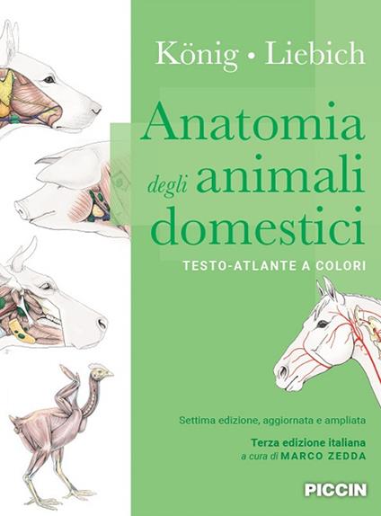 Anatomia degli animali domestici. Testo-atlante a colori - Horst E. König,Hans-Georg Liebich - copertina