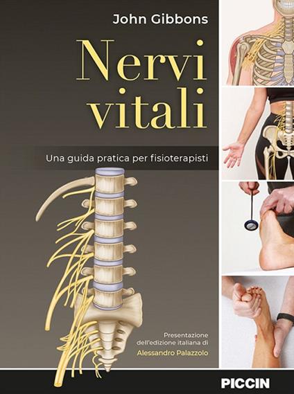 Nervi vitali. Una guida pratica per fisioterapisti - John Gibbons - copertina
