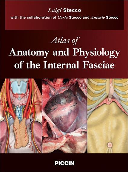 Atlas of anatomy and physiology of the internal fasciae - Luigi Stecco,Carla Stecco,Antonio Stecco - copertina