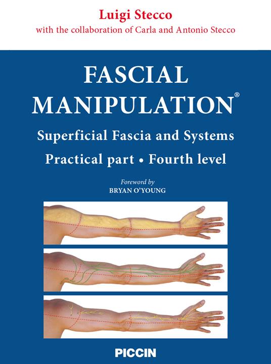 Fascial manipulation. Superficial fascia and systems. Practical part-fourth level - Luigi Stecco,Carla Stecco,Antonio Stecco - copertina