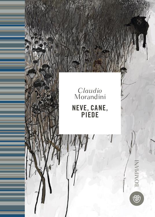 Neve, cane, piede - Claudio Morandini - copertina