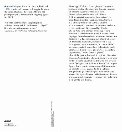Cento porcellini d'India - Gustavo Rodríguez - 2