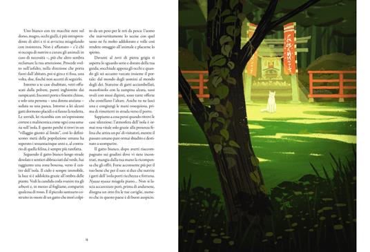 Shimaguni. Atlante narrato delle isole del Giappone. Ediz. a colori - Francesca Scotti,Kazuhisa Uragami - 4