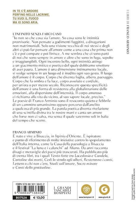 L'infinito senza farci caso - Franco Arminio - 2