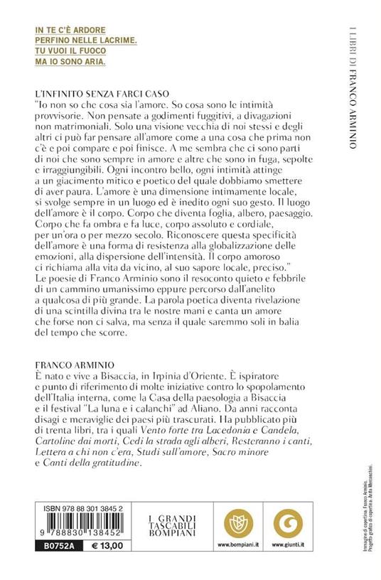 L'infinito senza farci caso - Franco Arminio - 2
