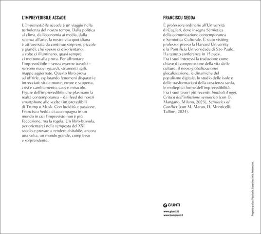 L'imprevedibile accade. Vivere e sopravvivere nel XXI secolo - Franciscu Sedda - 2