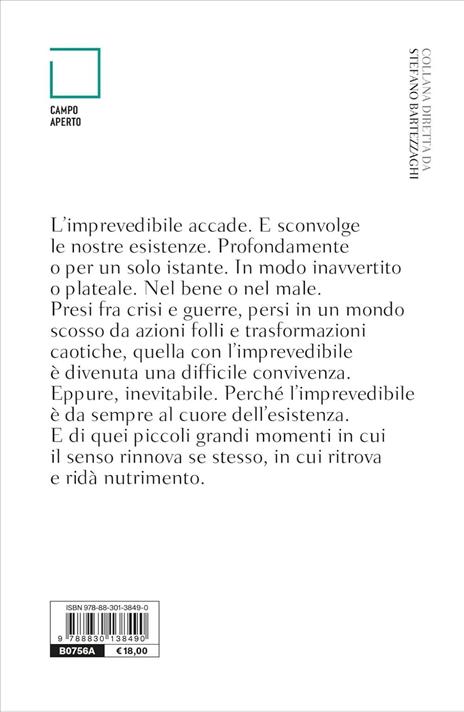 L'imprevedibile accade. Vivere e sopravvivere nel XXI secolo - Franciscu Sedda - 3