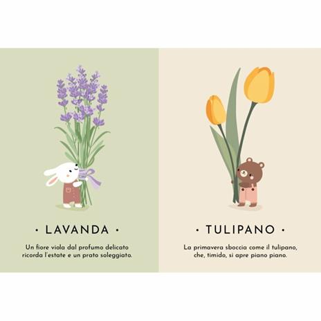 La natura. Le mie prime carte. Ediz. a colori. Con 30 Carte - Valentina Bonaguro - 3