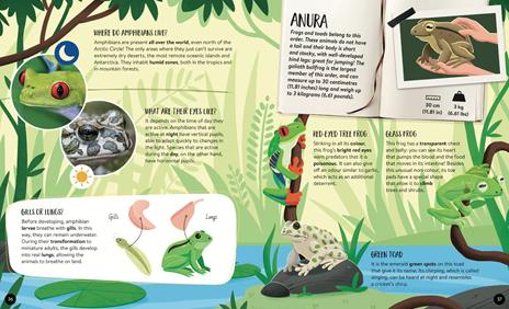 The ultimate atlas. Animals. Nuova ediz. Con 40 carte. Con puzzle - Giulia Pesavento - 4