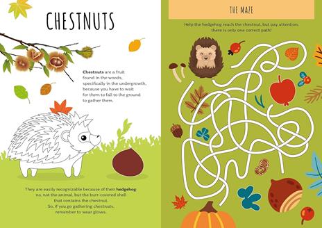 Autumn. Stickers and activities. Ediz. a colori - Maria Sara Mabilia - 3