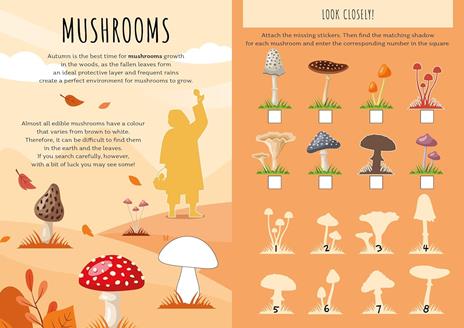 Autumn. Stickers and activities. Ediz. a colori - Maria Sara Mabilia - 4