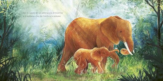 Sei tutto il mio mondo. Ediz. illustrata - Kelly Conroy - 3