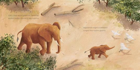 Sei tutto il mio mondo. Ediz. illustrata - Kelly Conroy - 5