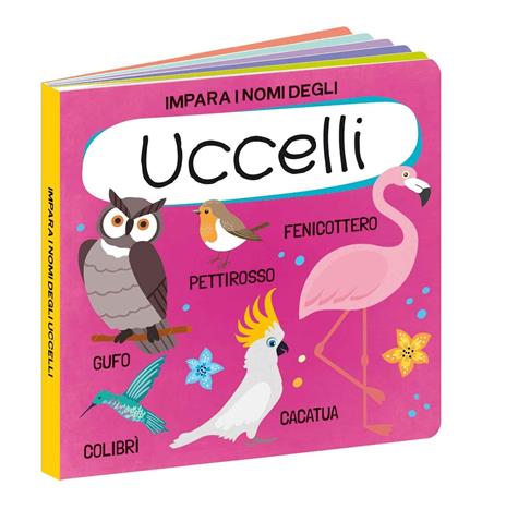Il mondo degli uccelli. Q-box. Con Gioco - 2