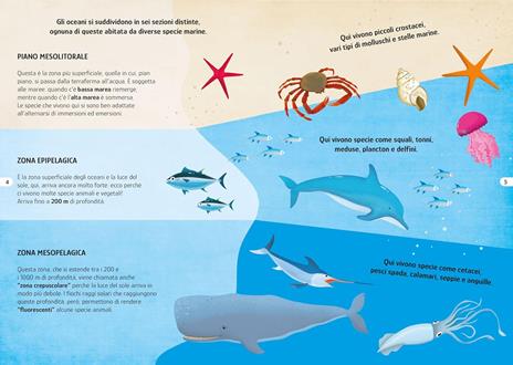 Il mare. Viaggia, conosci, esplora. Con puzzle. Con Poster - Matteo Gaule,Giulia Pesavento - 4